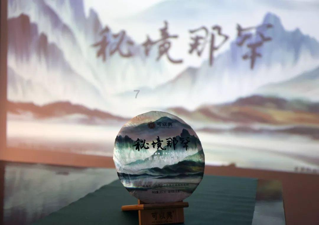 可爱的小考拉