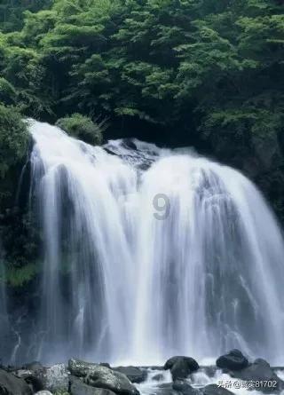 求本，子，好看的。游戏画面